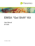 EMSA "Gel Shift" Kit