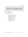 IMAGE COMMANDS - Netware