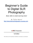 Beginner`s Guide to Digital SLR Photography