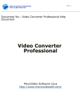 Video Converter Professional Help Document
