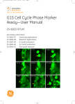 G1S Cell Cycle Phase Marker Assay—User Manual