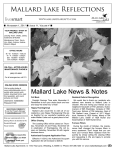 2011 November Newsletter Mallard