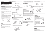 Manual as pdf
