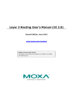 Layer 3 Routing User`s Manual (UI 2.0)
