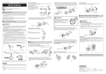manual as pdf