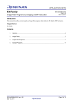 RX Family Image Filter Programs Leveraging a DSP Instruction