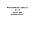 Amazon Elastic Compute Cloud Developer Guide API
