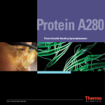 Protein A280 - Thermo Scientific