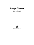 Loop Gizmo Manual - online - RJM Music Technology, Inc.