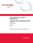 pSecTag/FRT/ V5-His-TOPO - Thermo Fisher Scientific