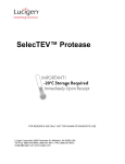 SelecTEV™ Protease