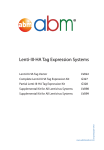 Lenti-III-HA Tag Expression Systems