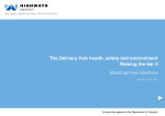 The Delivery Hub health, safety and environment Raising the bar 3