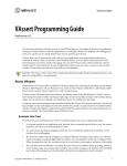 VAssert Programming Guide