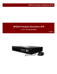 MPEG4 Pentaplex Standalone DVR