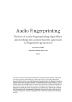Audio Fingerprinting