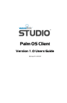 About the Wavelink Palm Client