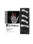 IA-FEMesh - Center for Computer Aided Design