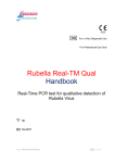 Rubella Real TM Qual ENG PCR CE
