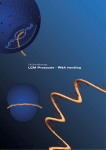 LCM Protocols – RNA handling