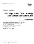 DIG High Prime DNA Labeling and Detection Starter Kit II