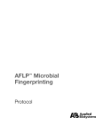AFLP Microbial Fingerprinting Protocol (PN 402977F)