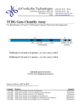 TCRG Gene Clonality Assay