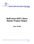 NetFusion-EXP Libero Project Helper PDF