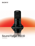 Sound Forge Pro 10.0 User Manual