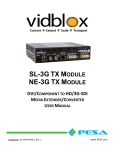 81905906660_Vidblox_SLand NE-3G Manual_RevC