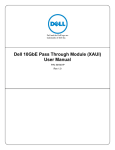Dell 10GbE Pass Through Module (XAUI) User Manual