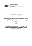 Guidelines accompanying Regulation (EU) No 65/2014 with regard
