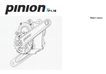 Pinion User Manual