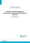A Spatial Computing Aproach to Programming Large Scale Wireless