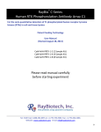 RayBio C-Series Human RTK Phosphorylation Antibody Array C1