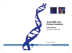 Total RNA and Protein Isolation