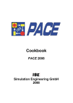 3 introduction into pace - IBE Simulation Engineering GmbH