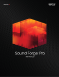 Sound Forge Pro 11.0 User Manual