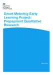 Smart Metering Early Learning Project: Prepayment