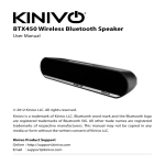BTX450 Wireless Bluetooth Speaker