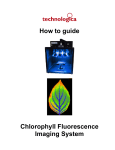 How to guide Chlorophyll Fluorescence Imaging