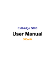 EZBridge 5800 User Manual - Teletronics International, Inc