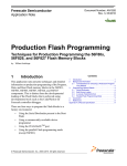 Production Flash Programming