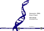 Genomic DNA from Plant - Lab Supplies Scientific