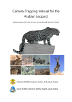 Camera Trap Manual for Arabian Leopard - PDF