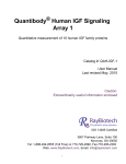 Quantibody Human IGF Signaling Array 1