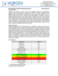 Plasma-Serum HCV RT-PCR Detection Kit