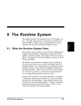 8 The Runtime System