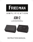 ASM12 Manual - Friedman Amplification