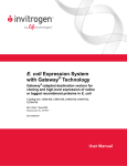 User Manual E. coli Expression System with Gateway ® Technology